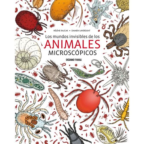 Los mundos invisibles de los animales microscópicos