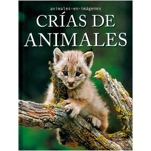 Animales en imágenes: crías de animales