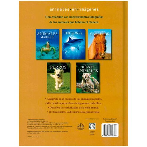 Animales en imágenes: crías de animales