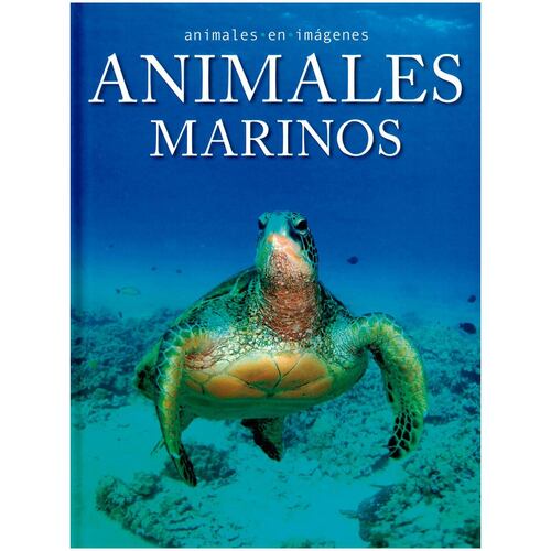 Animales en imágenes: animales marinos