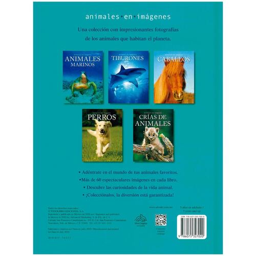 Animales en imágenes: animales marinos