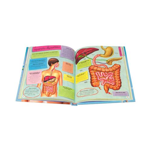 Primera biblioteca 1001 preguntas y respuestas sobre el cuerpo humano