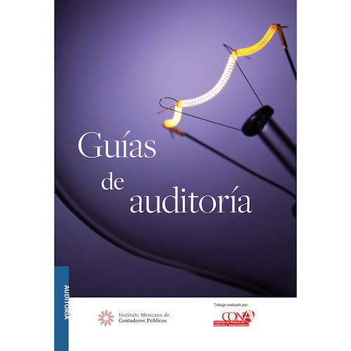 Guías de auditoría - versión profesional