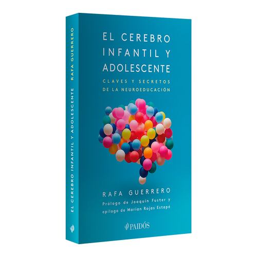 El cerebro infantil y adolescente