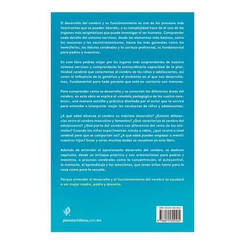 El cerebro infantil y adolescente