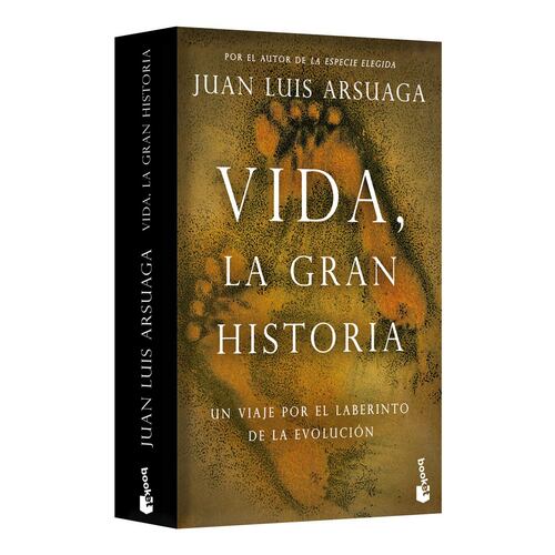 Vida, la gran historia