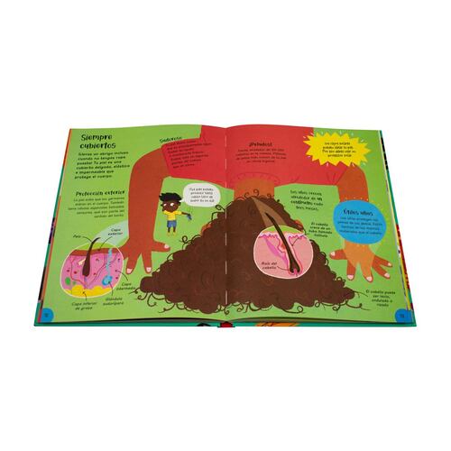 Ilustrados: el gran libro del conocimiento