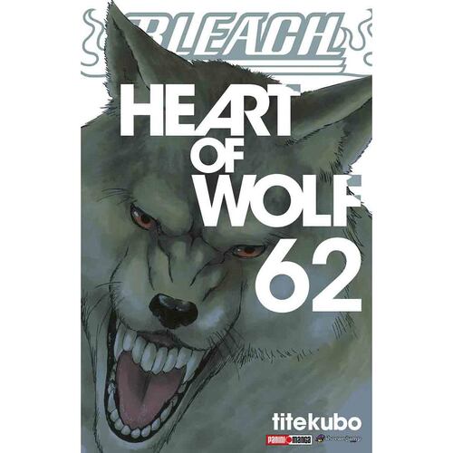 Bleach n.62