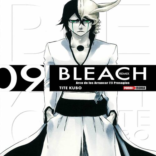Manga Bleach Remix N9