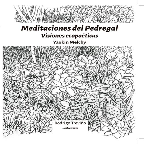 Meditaciones del pedregal