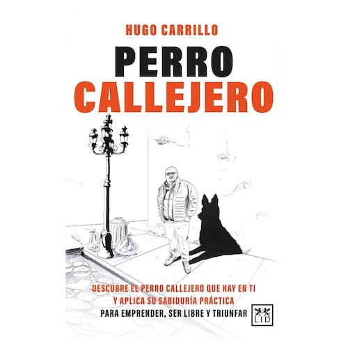 Perro callejero