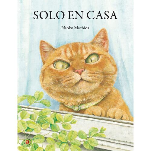Solo en casa