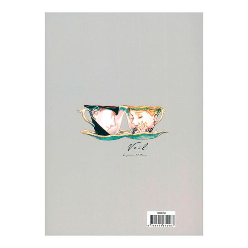 Veil Nº 03