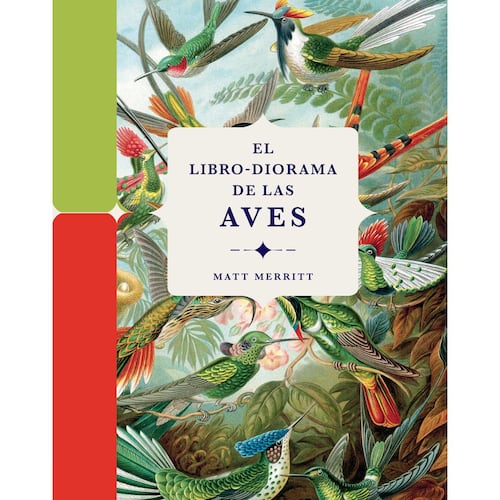 El libro-Diorama de las aves