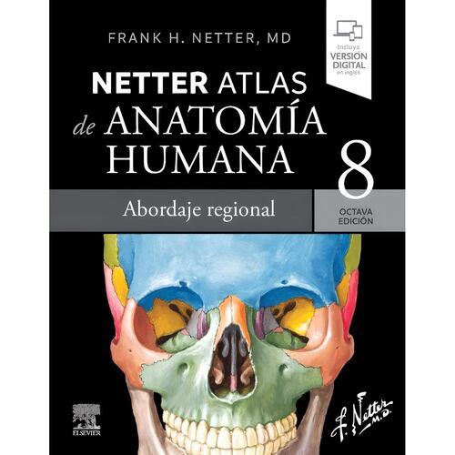 Netter Atlas De Anatomía Humana Para Colorear  8