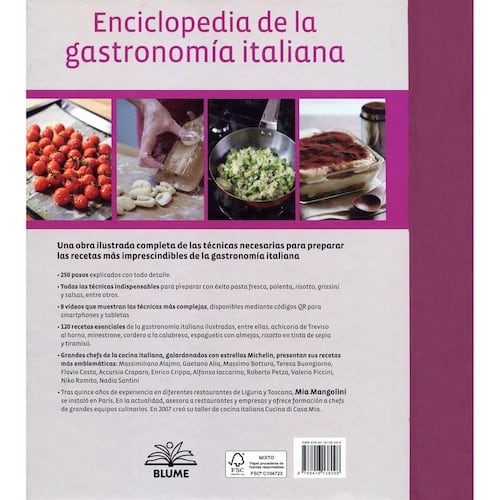Enciclopedia de la gastronomía Italiana