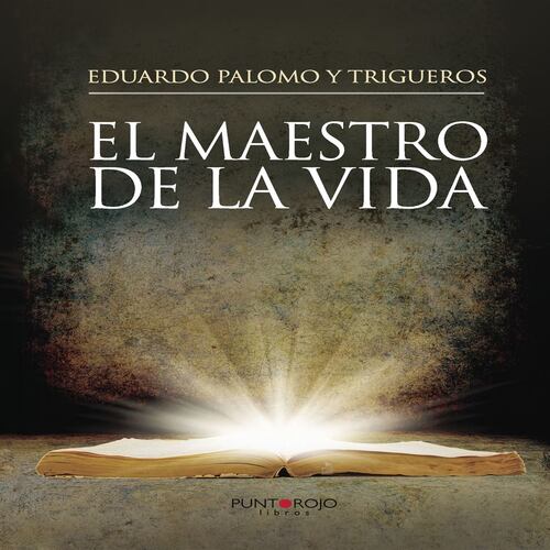 El Maestro de la vida