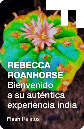 Bienvenido a su auténtica experiencia india (TM)