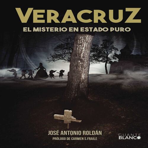 VERACRUZ EL MISTERIO EN ESTADO PURO