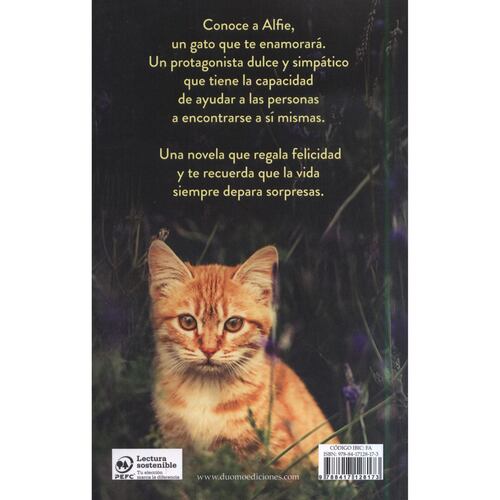 El gato que curaba corazones