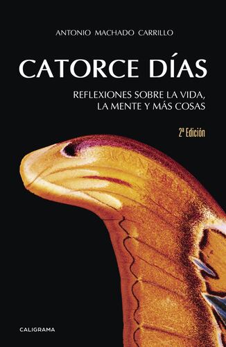 Catorce días