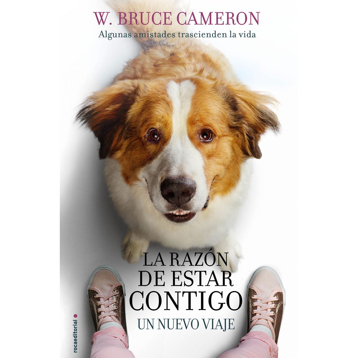 La razón de estar contigo 2. Un nuevo viaje