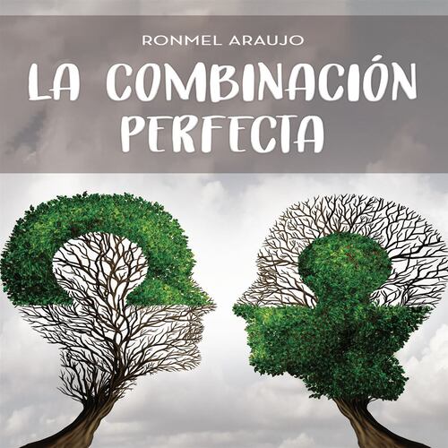 La combinación perfecta