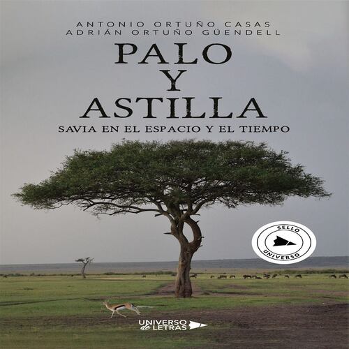 PALO y ASTILLA