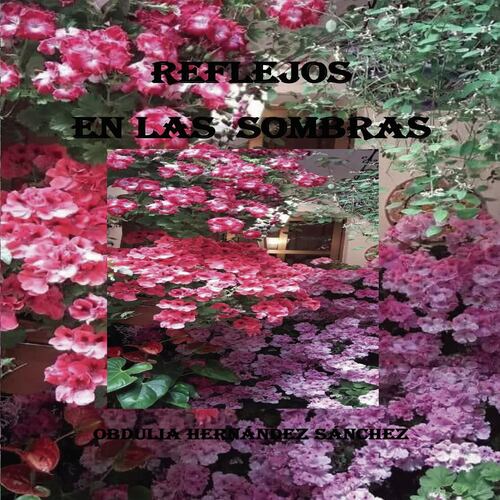 Reflejos en las sombras