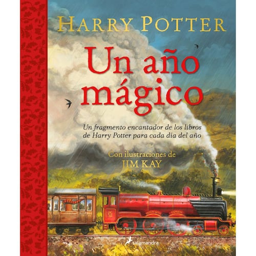 Harry Potter un año mágico
