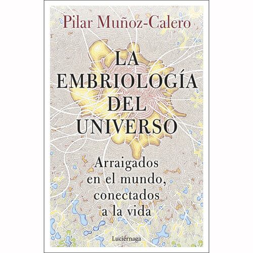 La embriología del universo