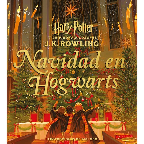 Harry Potter, Navidad en Hogwarts