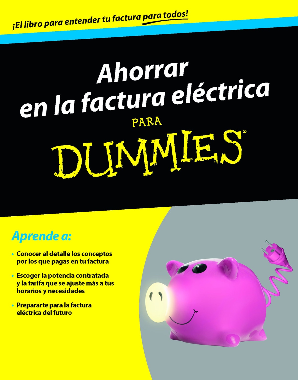 Ahorrar En La Factura Eléctrica Para Dummies