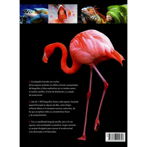 Mundo Animal, Enciclopedia Práctica
