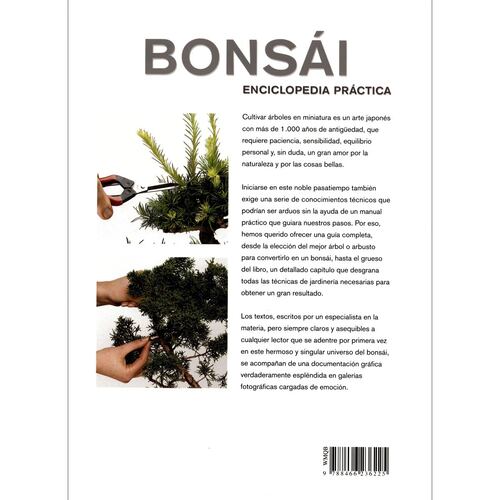 BONSAI. Enciclopedia práctica