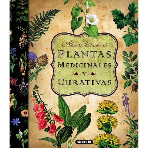 Plantas medicinales y curativas