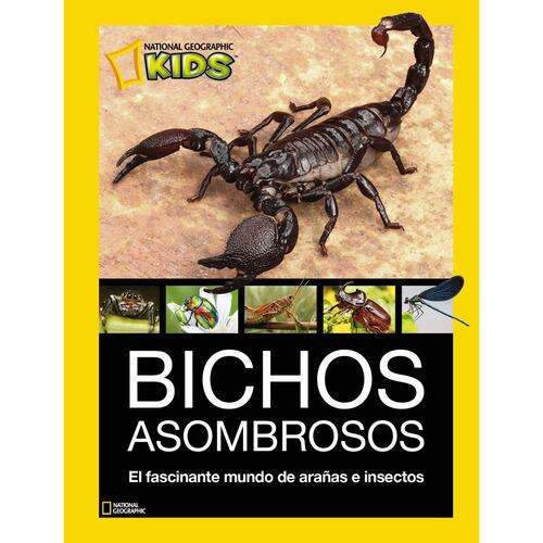 Bichos asombrosos. El fascinante mundo de arañas e insectos