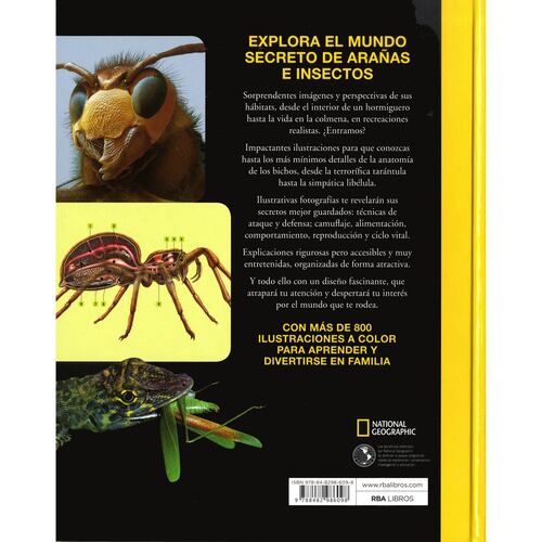 Bichos asombrosos. El fascinante mundo de arañas e insectos