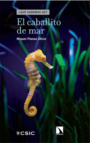 El caballito de mar