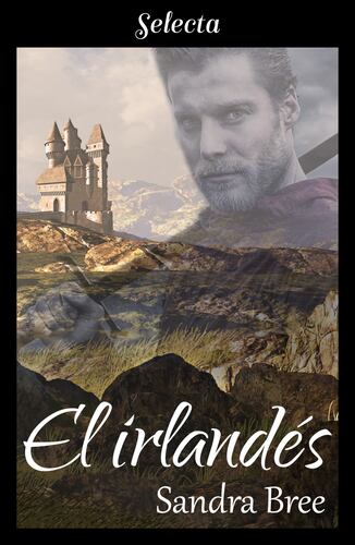 El irlandés