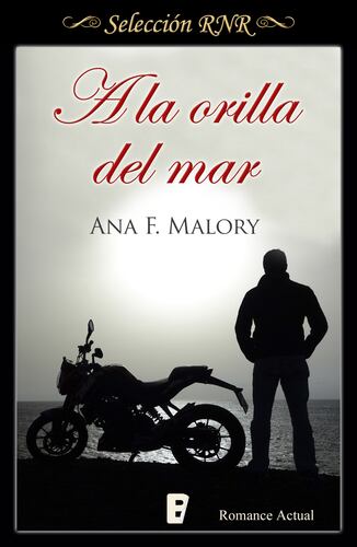 A la orilla del mar (Serie Hermanos Inclán 1)