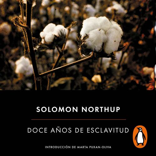 Doce años de esclavitud
