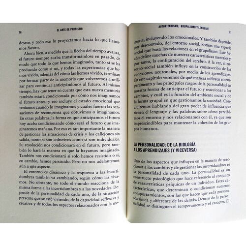 El Arte De Persistir