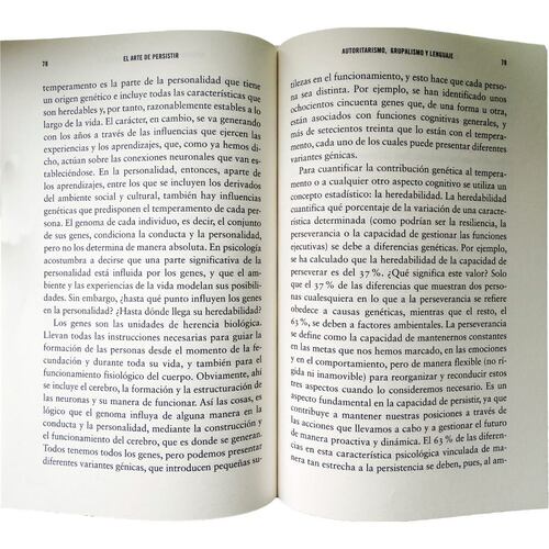 El Arte De Persistir