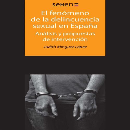 El fenómeno de la delincuencia sexual en España