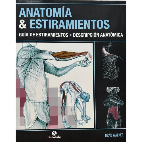 Anatomía & estiramientos. Guía de estiramientos. Descripción anatómica (color).