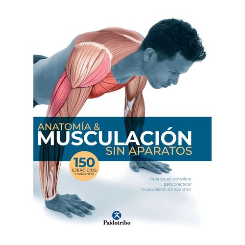 Anatomía & musculación sin aparatos