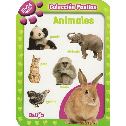 Animales Colección Pasitos 18-24 Meses