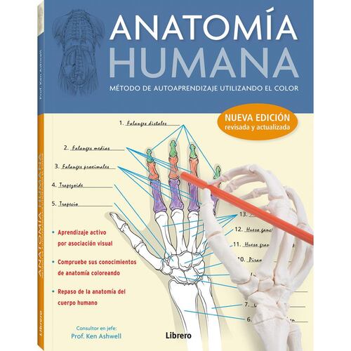 Anatomía humana (aprende con color)