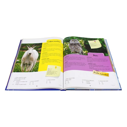Mi Primera Enciclopedia De Datos Fabulosos